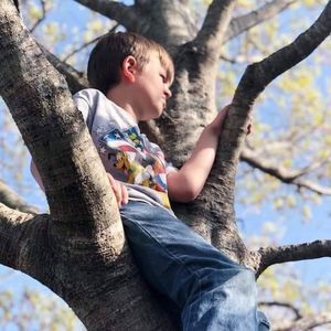 Meet your Posher, Robin